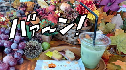 新メニューになりました！